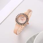 SWAROVSKI WATCH