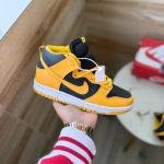 NIKE SB DUNK VARSITY HIGH