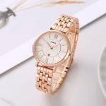 FOSSIL WATCH