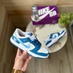 NIKE SB DUNK THE BORNE X RAISED