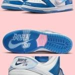 NIKE SB DUNK THE BORNE X RAISED